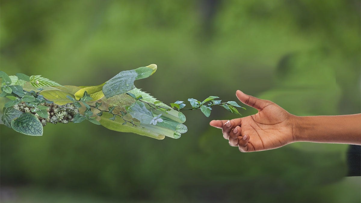 Home [partnerwithnature.org]